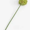 COCOmaison Allium spray fleur artificielle H90cm - Vert Online