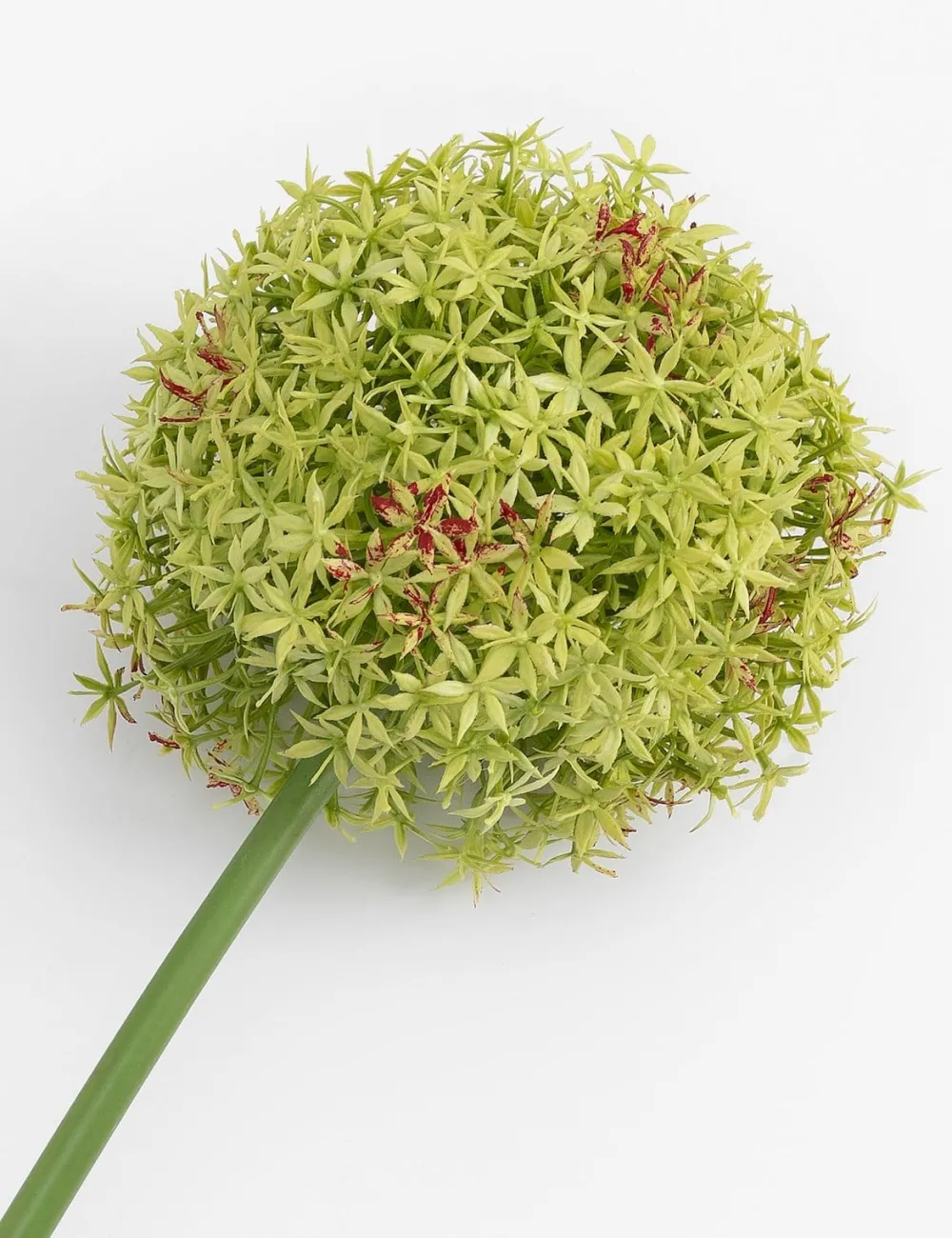 COCOmaison Allium spray fleur artificielle H90cm - Vert Online