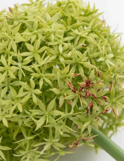 COCOmaison Allium spray fleur artificielle H90cm - Vert Online