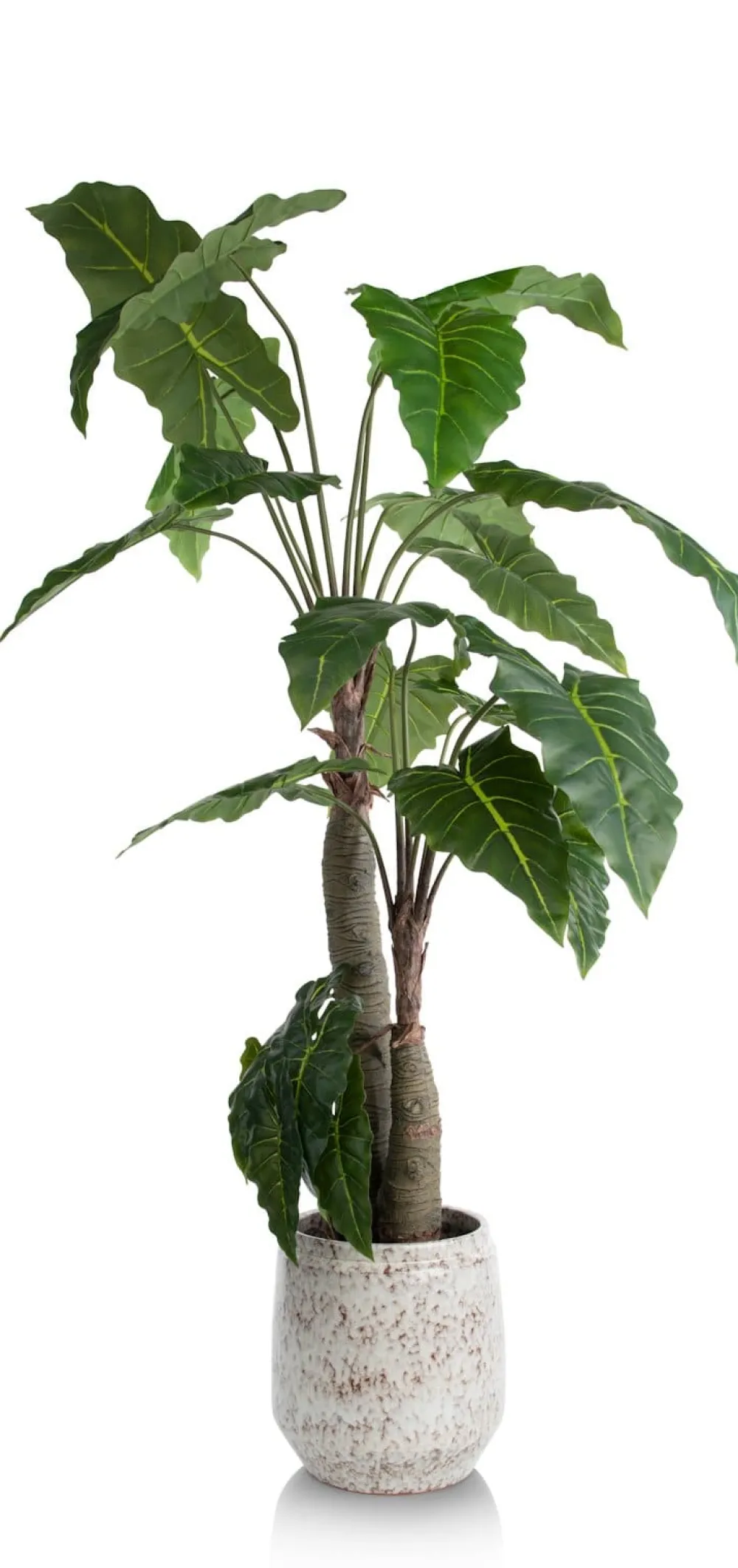 COCOmaison Alocasia Giant Tree H180cm plante artificielle - Vert Outlet