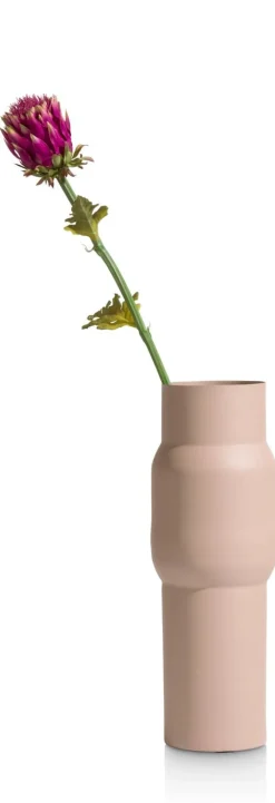 COCOmaison Artichoke Stem H80cm - Rose Outlet