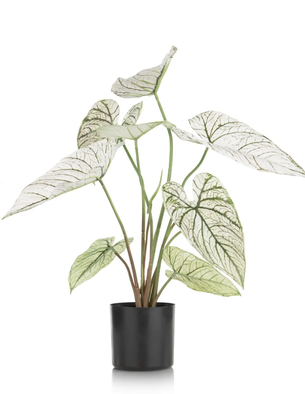 COCOmaison Caladium H60cm plante artificielle - Vert Online