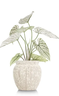 COCOmaison Caladium H60cm plante artificielle - Vert Online