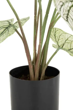 COCOmaison Caladium H60cm plante artificielle - Vert Online