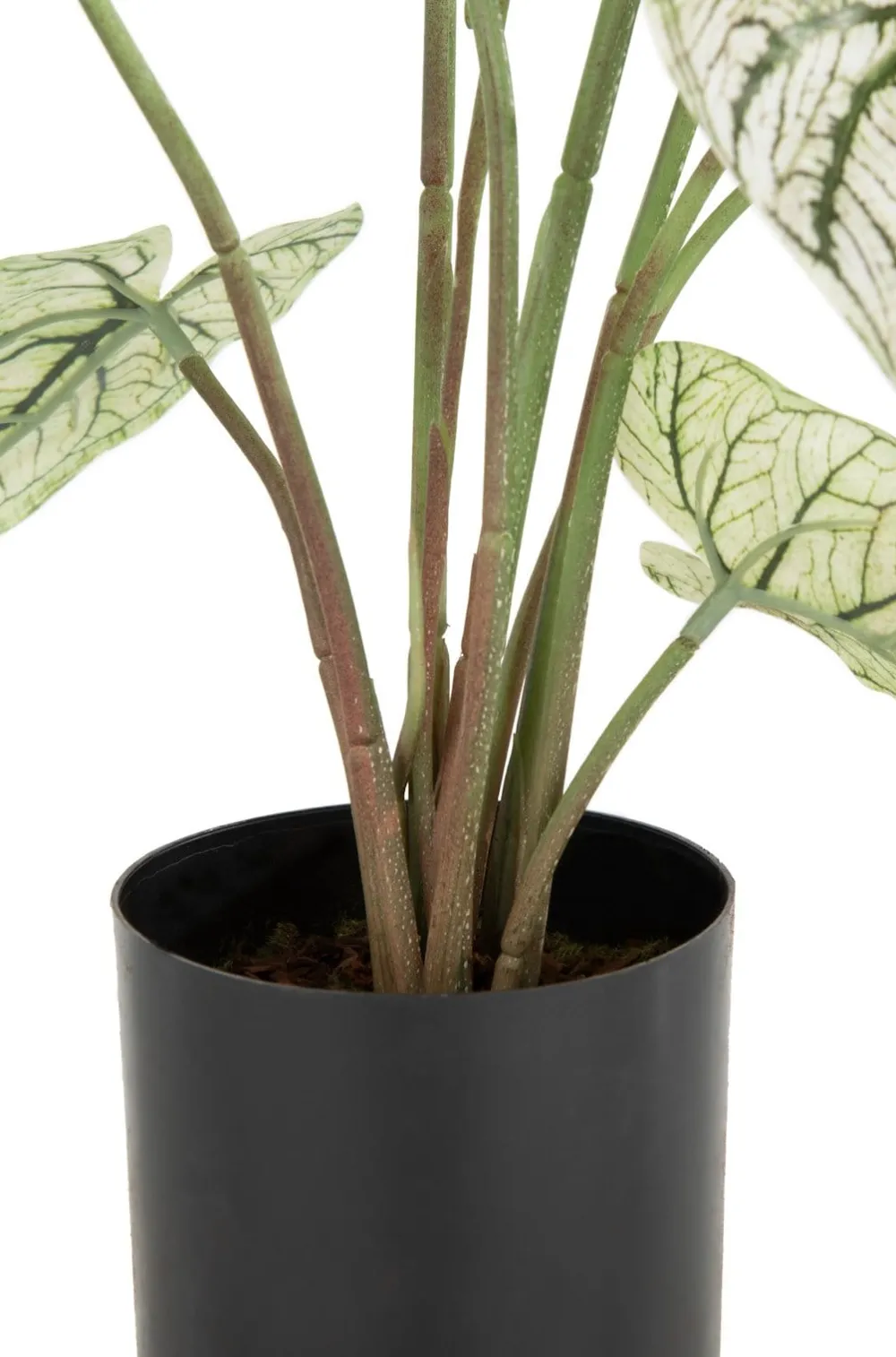 COCOmaison Caladium H60cm plante artificielle - Vert Online