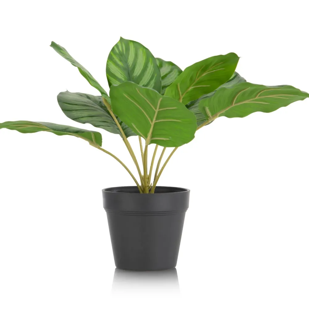 COCOmaison Calathea Orbifolia H45cm plante artificielle - Vert Outlet