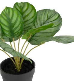 COCOmaison Calathea Orbifolia H45cm plante artificielle - Vert Outlet