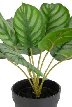 COCOmaison Calathea Orbifolia H45cm plante artificielle - Vert Outlet