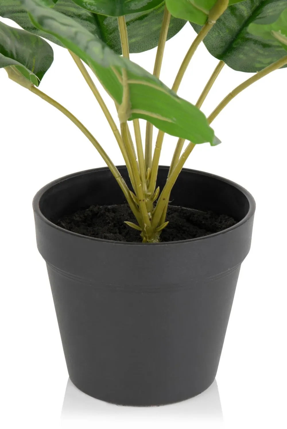 COCOmaison Calathea Orbifolia H45cm plante artificielle - Vert Outlet