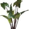 COCOmaison Colocasia H130cm - Vert Hot