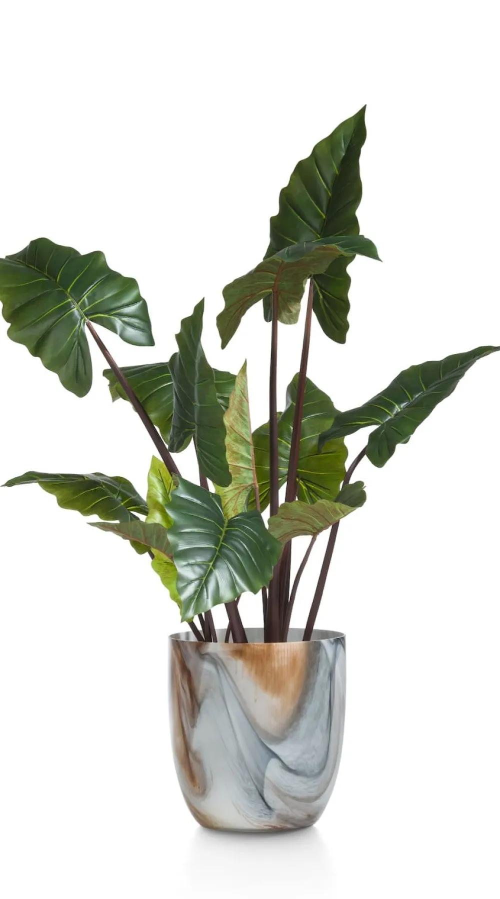 COCOmaison Colocasia H130cm - Vert Hot