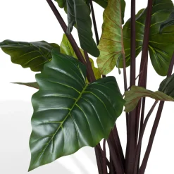 COCOmaison Colocasia H130cm - Vert Hot