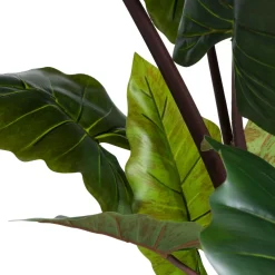 COCOmaison Colocasia H130cm - Vert Hot