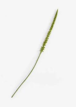 COCOmaison Donkey Tail fleur artificielle H86cm - Vert Discount