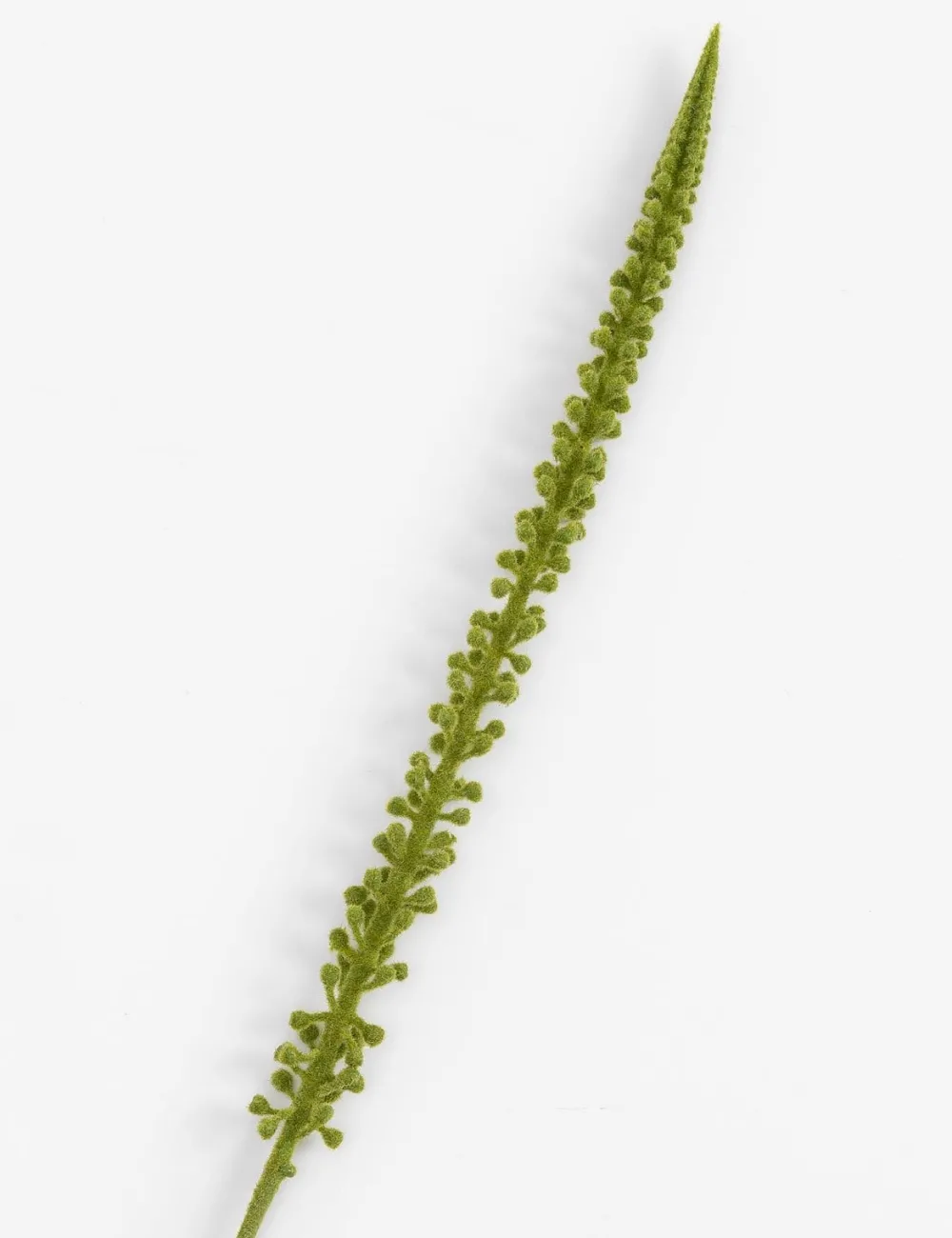 COCOmaison Donkey Tail fleur artificielle H86cm - Vert Discount