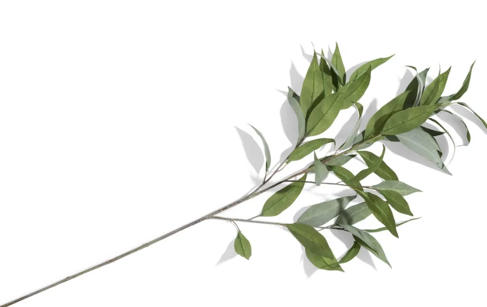 COCOmaison Eucalypthus Spray H93cm - Vert