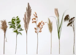 COCOmaison Eucalypthus Spray H93cm - Vert