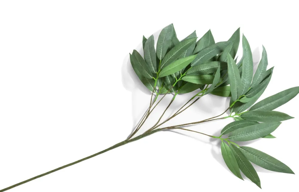 COCOmaison Eucalyptus branch H95cm - Vert Discount