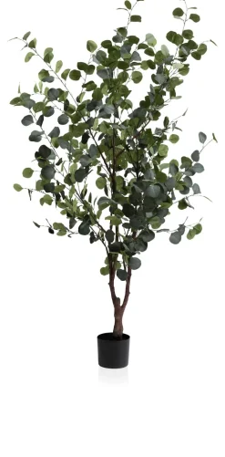 COCOmaison Eucalyptus Tree plante artificielle H180cm - Vert Sale