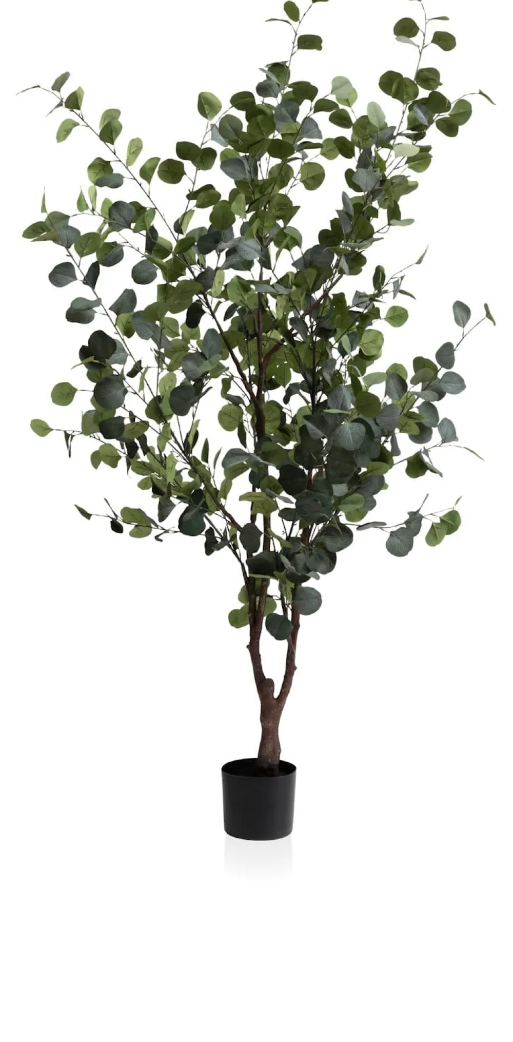 COCOmaison Eucalyptus Tree plante artificielle H180cm - Vert Sale
