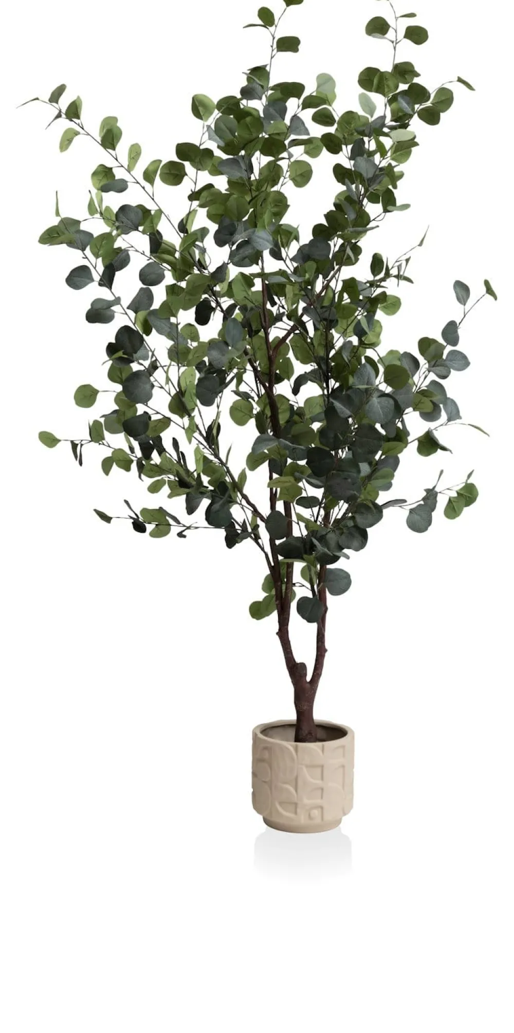 COCOmaison Eucalyptus Tree plante artificielle H180cm - Vert Sale