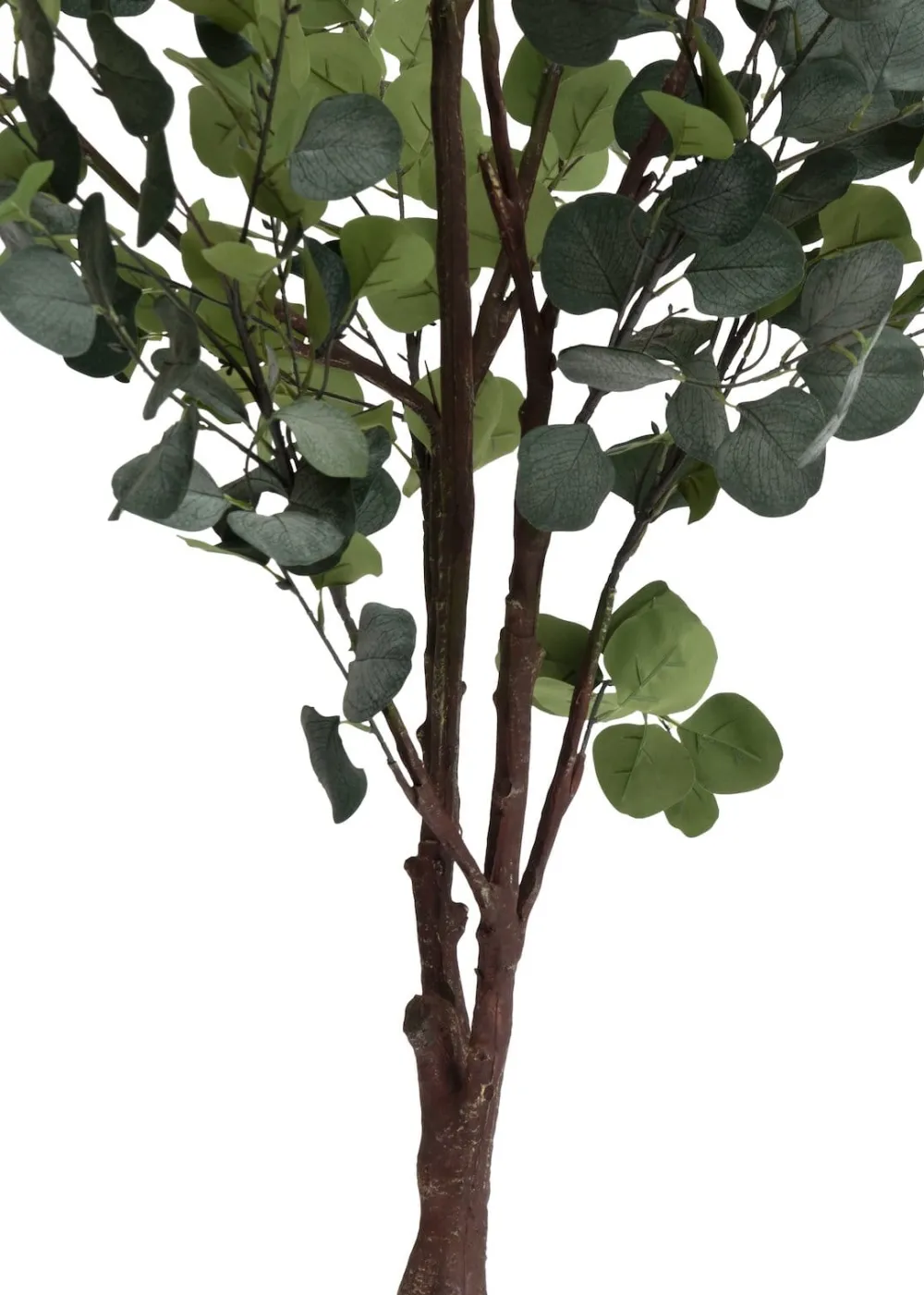 COCOmaison Eucalyptus Tree plante artificielle H180cm - Vert Sale