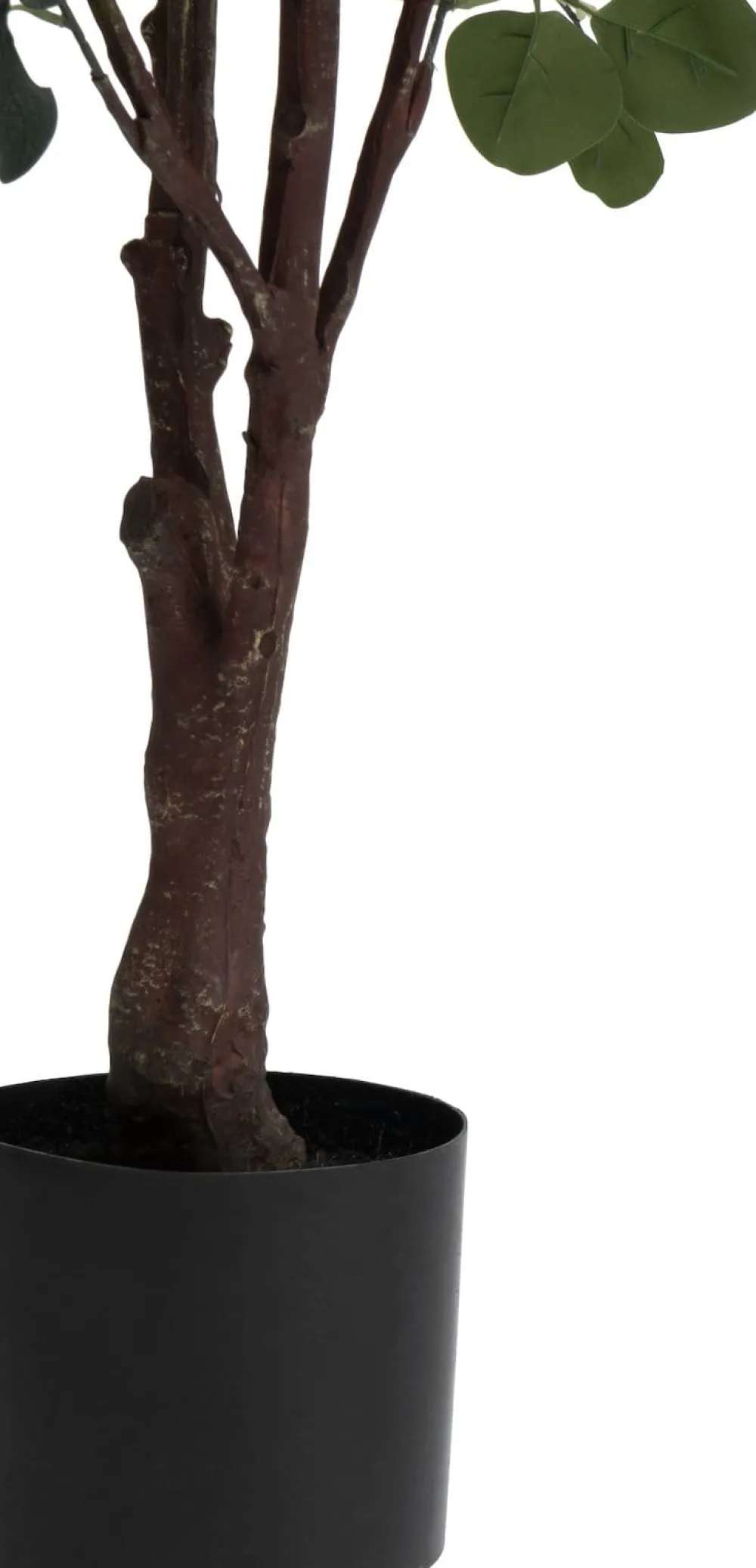 COCOmaison Eucalyptus Tree plante artificielle H180cm - Vert Sale