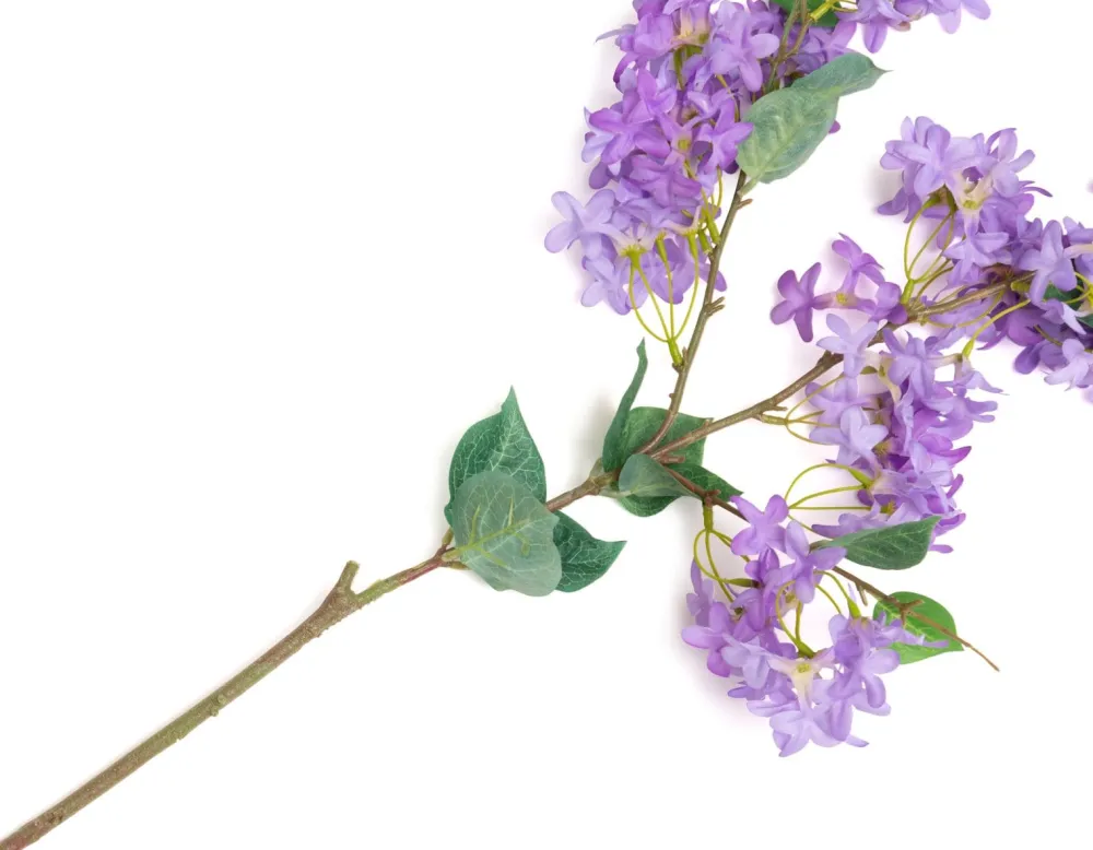 COCOmaison Jasmin Branch fleur artificielle H115cm - Pourpre Discount