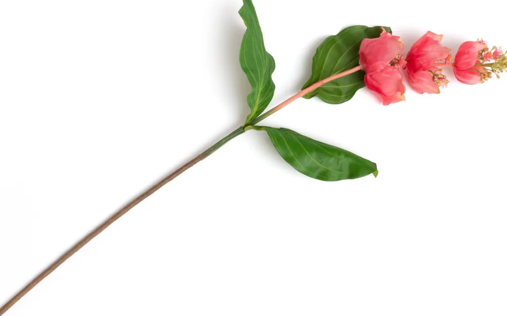 COCOmaison Medinilla Spray fleur artificielle H110cm - Orange Outlet