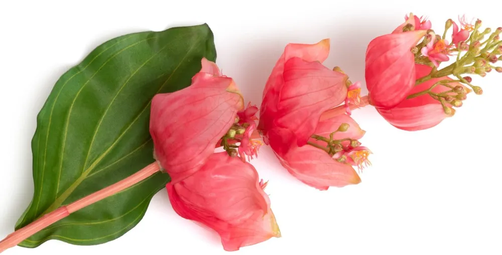 COCOmaison Medinilla Spray fleur artificielle H110cm - Orange Outlet