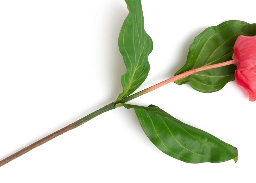 COCOmaison Medinilla Spray fleur artificielle H110cm - Orange Outlet