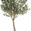 COCOmaison Olive Tree H180cm plante artificielle - Vert New