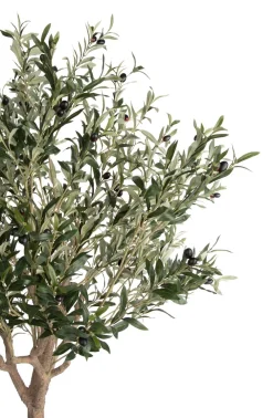 COCOmaison Olive Tree H180cm plante artificielle - Vert New