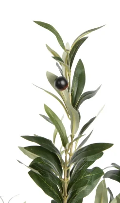 COCOmaison Olive Tree H180cm plante artificielle - Vert New