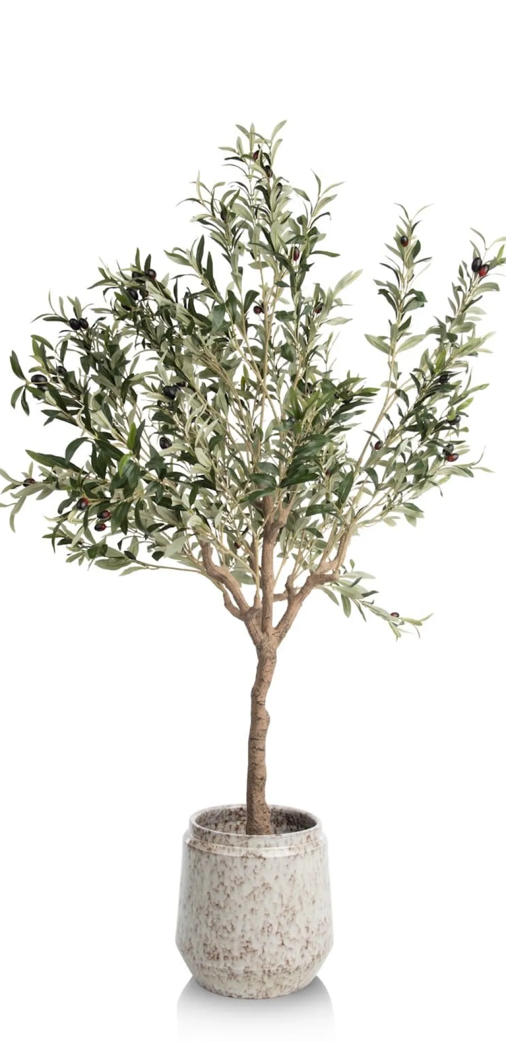 COCOmaison Olive Tree H150cm plante artificielle - Vert Online