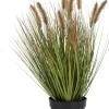 COCOmaison Pennisetum Grass plant H58cm - Vert Hot