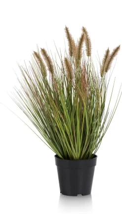 COCOmaison Pennisetum Grass plant H58cm - Vert Hot