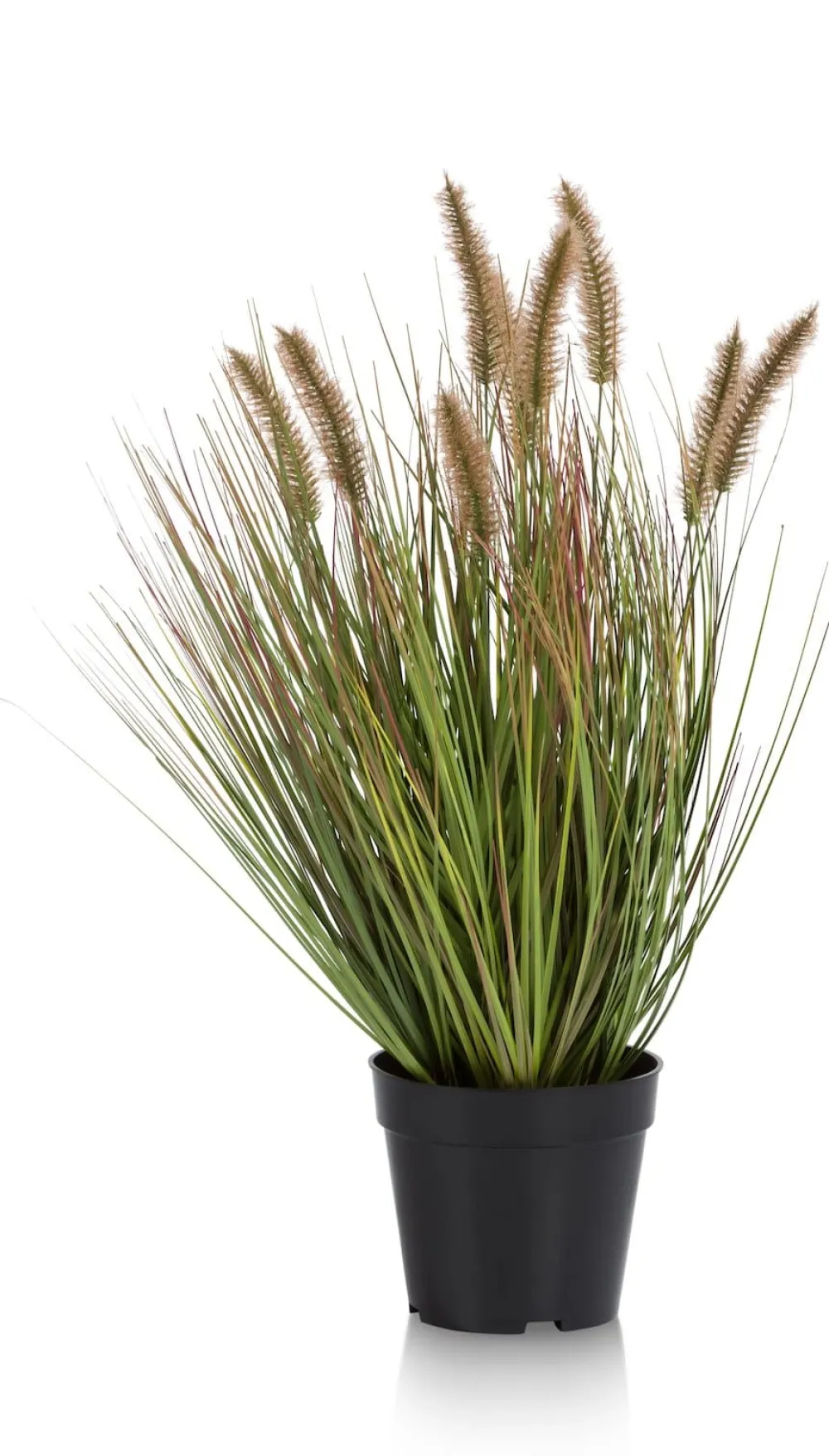 COCOmaison Pennisetum Grass plant H58cm - Vert Hot