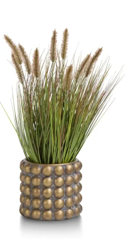 COCOmaison Pennisetum Grass plant H58cm - Vert Hot