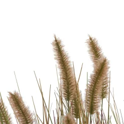 COCOmaison Pennisetum Grass plant H58cm - Vert Hot