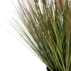 COCOmaison Pennisetum Grass plant H58cm - Vert Hot