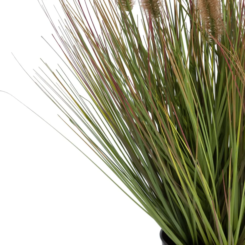 COCOmaison Pennisetum Grass plant H58cm - Vert Hot