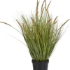 COCOmaison Pennisetum Grass plant H99cm - Vert Discount