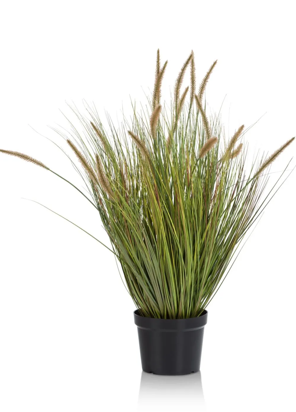 COCOmaison Pennisetum Grass plant H99cm - Vert Discount