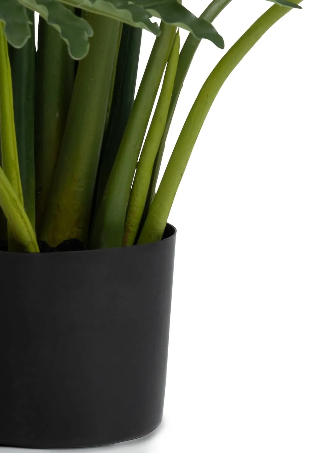 COCOmaison Philodendron Selloum plante artificielle H125cm - Vert Best