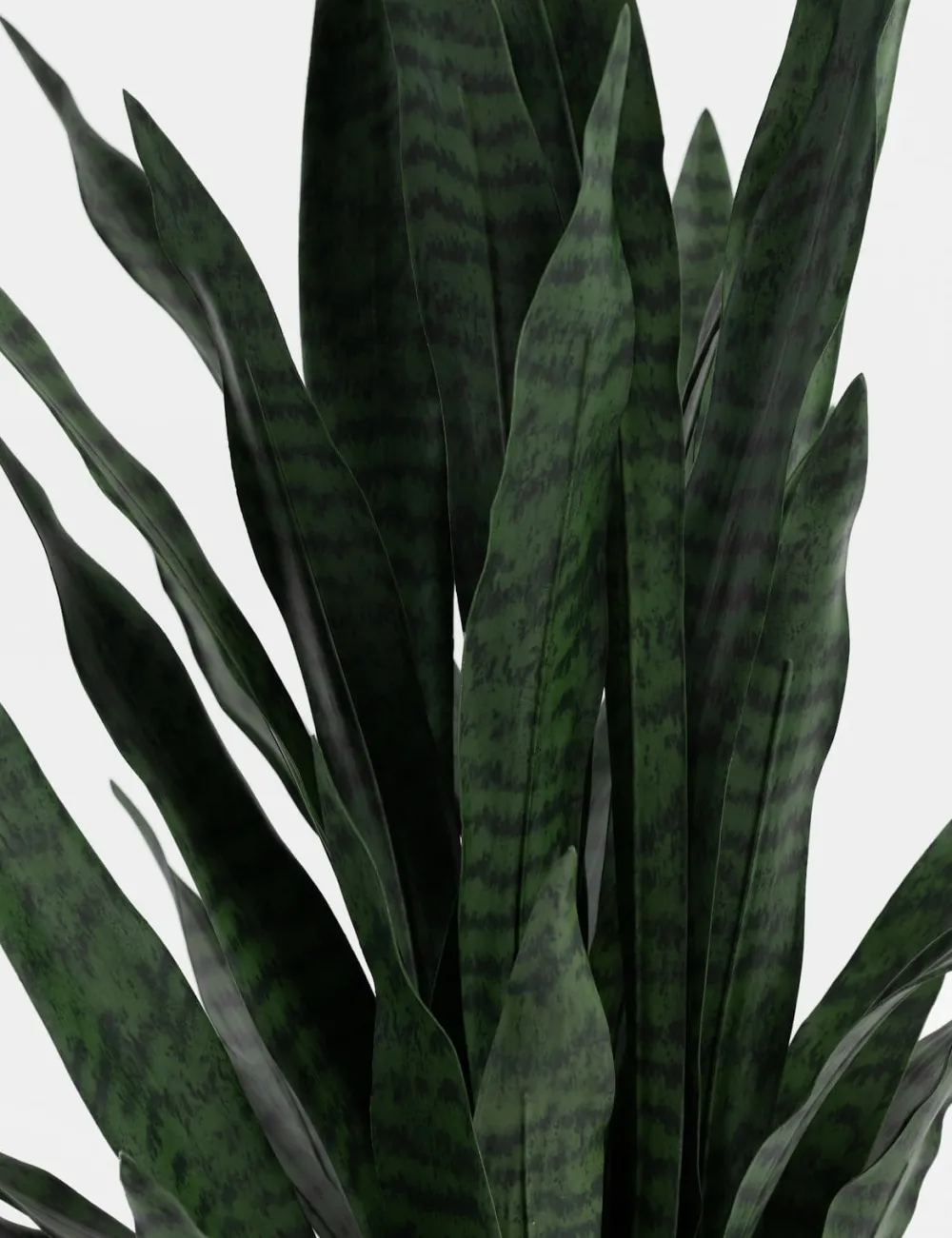 COCOmaison Sansevieria plante artificielle H115cm - Vert