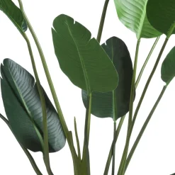 COCOmaison Strelitzia Nicolai H150cm - Vert Best