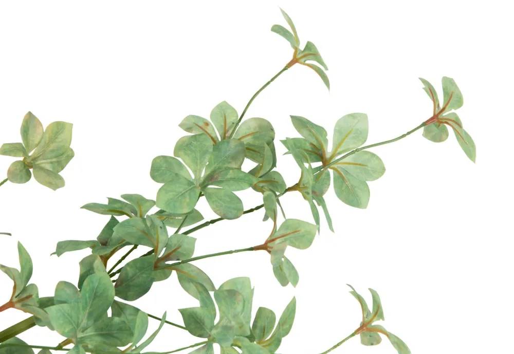 COCOmaison Tropaeolum Spray H88cm fleur - Vert Best