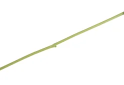 COCOmaison Tropaeolum Spray H88cm fleur - Vert Best