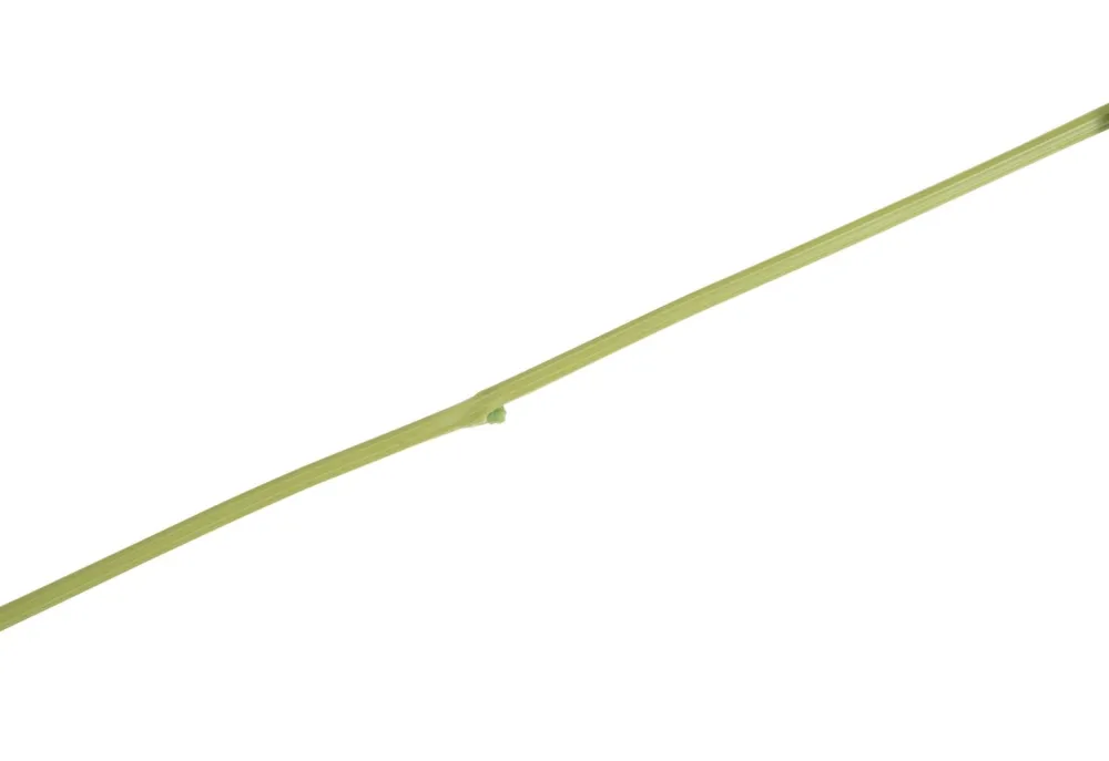 COCOmaison Tropaeolum Spray H88cm fleur - Vert Best